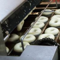 How to start a business and choose donut equipment