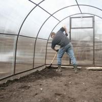 How to prepare a polycarbonate greenhouse for spring planting