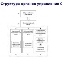 Структура и орган на управување на ДОО Органи на управување на правни лица