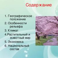 Јапонците се деветти по големина народ во светот (130 милиони луѓе)