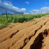 Спречување на ерозија на почвата