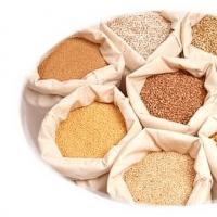 Types of compound feed, areas of use, potential buyers