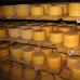 خطة عمل لإنتاج الجبن: كيفية فتح مصنع ألبان وأين تبدأ صناعة الجبن